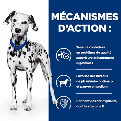 Mécanismes d’action : teneurs contrôlées en protéines de qualité supérieure et hautement digestibles, favorise des niveaux de pH urinaire optimaux et pauvre en sodium, contient des antioxydants dont la vitamine E.
