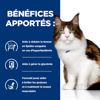 BÉNÉFICES APPORTÉS : Aide à réduire la teneur en lipides sanguins en cas d’hyperlipidémie, aide à gérer la glycémie, formulé pour brûler les graisses et maintenir la masse musculaire.