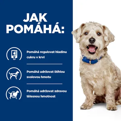 Jak pomáhá: Pomáhá regulovat hladinu cukru v krvi, udržovat štíhlou svalovou hmotu a zdravou tělesnou hmotnost. Obrázek psa s modrým obojkem.