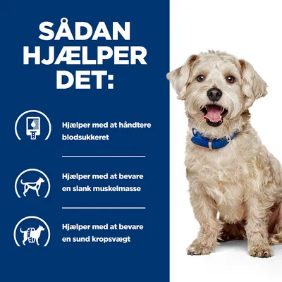 Sådan hjælper det: Hjælper med at håndtere blodsukkeret, bevare en slank muskelmasse og bevare en sund kropsvægt. Hund med blå halsbånd ved siden af tekst.