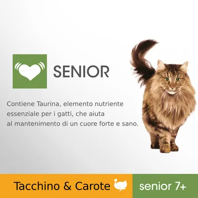 Testo: SENIOR. Contiene Taurina, elemento nutriente essenziale per i gatti, che aiuta al mantenimento di un cuore forte e sano. Tacchino & Carote, senior 7+.