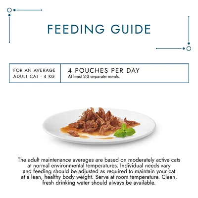 Fodringsvejledning: For en gennemsnitlig voksen kat på 4 kg, 4 portionsposer dagligt fordelt på mindst 2–3 måltider. Billede af vådfoder på tallerken. Tekst på engelsk.