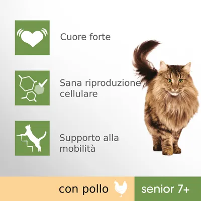 Cuore forte, sana riproduzione cellulare, supporto alla mobilità, con pollo, senior 7+, immagini di un gatto e icone illustrative verdi.
