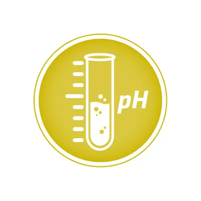 Symbol eines Reagenzglases mit pH-Wert-Anzeige, gelber Hintergrund.