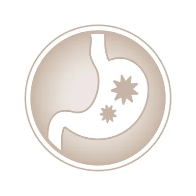 Pictogram van een maag met twee stervormige symbolen binnenin, mogelijk aanduiding voor spijsvertering of maagfunctie. Geen tekst of merk zichtbaar.