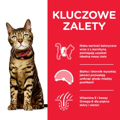 Kluczowe zalety: niska wartość kaloryczna z L-karnityną, białko i błonnik wysokiej jakości, witamina E i kwasy Omega-6 dla skóry i sierści. Tekst w języku polskim.