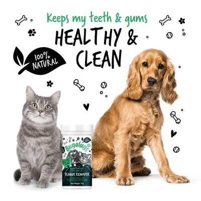 Plaque remover product with cat and dog, text reads 'Keeps my teeth & gums healthy & clean' and '100% natural'.