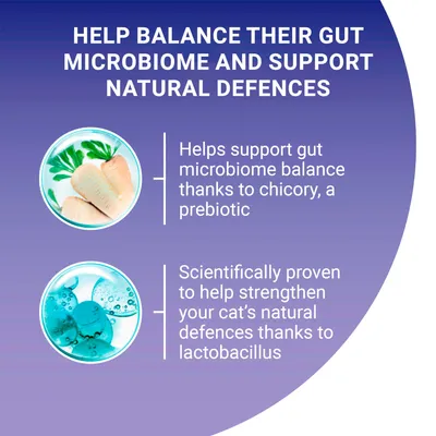 Supports gut microbiome balance with chicory prebiotic and strengthens natural defences with lactobacillus, scientifically proven for cats. Key benefits highlighted in text and images.