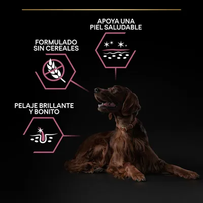 Formulado sin cereales, apoya una piel saludable, pelaje brillante y bonito. Imagen de un perro marrón tumbado con gráficos resaltando estos beneficios.