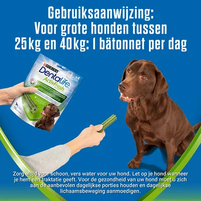 Gebruiksaanwijzing: Voor grote honden tussen 25kg en 40kg: 1 bâtonnet per dag. Purina Dentalife ActivFresh verpakking, hand biedt snack aan bruine hond.