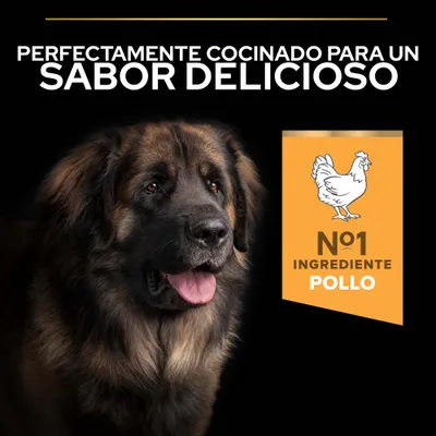 Perfectamente cocinado para un sabor delicioso. Ingrediente principal, pollo. Perfectamente cocinado para un sabor delicioso. Ingrediente principal, pollo.