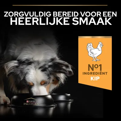 Hond eet uit een voerbak met het Purina Pro Plan-logo. Tekst: Zorgvuldig bereid voor een heerlijke smaak. Nr. 1 ingrediënt: kip.
