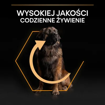 WYSOKIEJ JAKOŚCI CODZIENNE ŻYWIENIE – tekst na czarnym tle nad dużym psem siedzącym w pomarańczowym heksagonie z okrągłą strzałką.