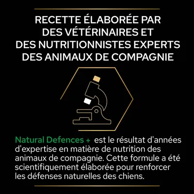 Recette élaborée par des vétérinaires et nutritionnistes experts. Natural Defences+ : formule pour chiens, scientifiquement conçue pour renforcer les défenses naturelles. Texte en français.