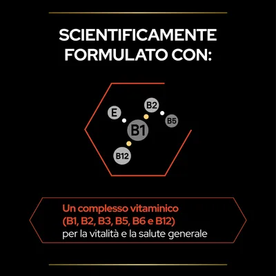 Scientificamente formulato con: un complesso vitaminico (B1, B2, B3, B5, B6 e B12) per la vitalità e la salute generale. Vitamine visibili: E, B1, B2, B5, B12.