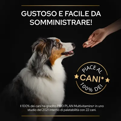 Gustoso e facile da somministrare! Piace al 100% dei cani. Il 100% dei cani ha gradito PRO PLAN Multivitamins+ in uno studio del 2021 con 22 cani.