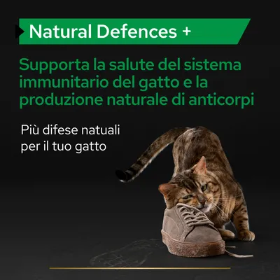Natural Defences +. Supporta la salute del sistema immunitario del gatto e la produzione naturale di anticorpi. Più difese naturali per il tuo gatto.