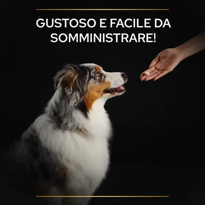 GUSTOSO E FACILE DA SOMMINISTRARE!