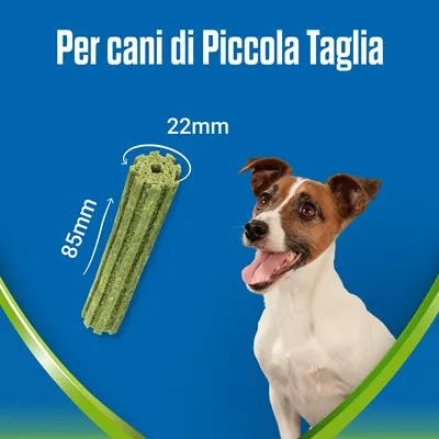 Snack verde per cani di piccola taglia, dimensioni visibili: lunghezza 85 mm, diametro 22 mm. Testo: Per cani di Piccola Taglia. Cane di piccola taglia a destra.
