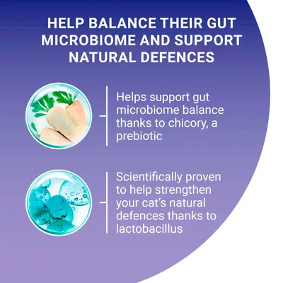Supports gut microbiome balance with chicory prebiotic and strengthens natural defences with lactobacillus, as scientifically proven for cats.
