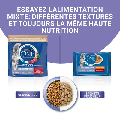 Purina ONE Bifensis Special Chat Stérilisé – opakowanie suchej karmy 1,5 kg i zestaw 12 saszetek mokrej karmy. Na dole miska z suchą i mokrą karmą. Tekst po francusku.