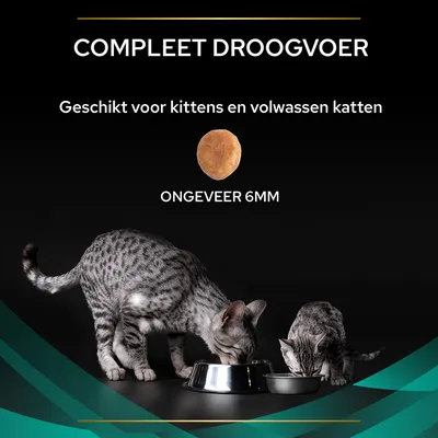 Compleet droogvoer, geschikt voor kittens en volwassen katten. Brokjes ongeveer 6 mm. Twee katten eten uit metalen voerbakken.