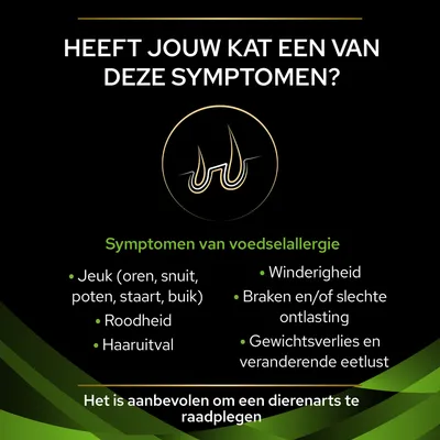 Symptomen van voedselallergie bij katten: jeuk, roodheid, haaruitval, winderigheid, braken of slechte ontlasting, gewichtsverlies, veranderende eetlust. Raadpleeg een dierenarts.