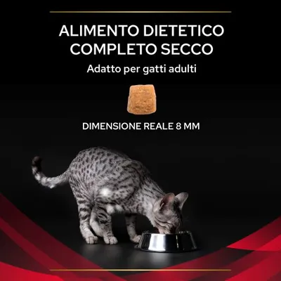 Alimento dietetico completo secco, adatto per gatti adulti. Dimensione reale della crocchetta: 8 mm. Gatto grigio che mangia da una ciotola.