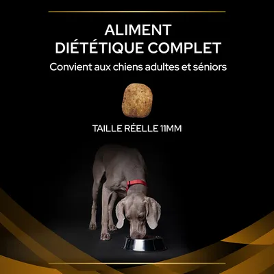 Aliment diététique complet, convient aux chiens adultes et séniors. Croquette taille réelle 11 mm. Chien gris avec collier rouge mangeant dans une gamelle en métal.