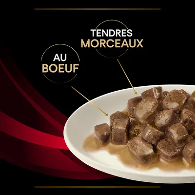 Assiette de tendres morceaux en sauce, texte visible : 'TENDRES MORCEAUX', 'AU BOEUF'.