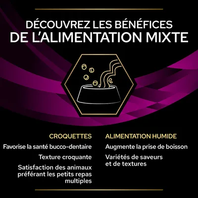 Découvrez les bénéfices de l’alimentation mixte : croquettes favorisent la santé bucco-dentaire, texture croquante ; alimentation humide augmente la prise de boisson, variétés de saveurs.