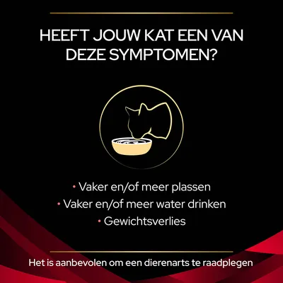Heeft jouw kat een van deze symptomen? Vaker en/of meer plassen, vaker en/of meer water drinken, gewichtsverlies. Het is aanbevolen om een dierenarts te raadplegen.