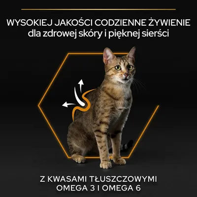 Wysokiej jakości codzienne żywienie dla zdrowej skóry i pięknej sierści. Z kwasami tłuszczowymi omega 3 i omega 6.