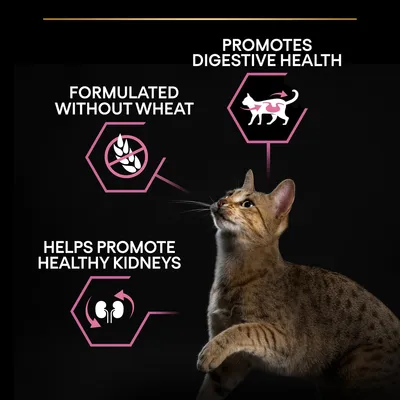 Formulated without wheat, promotes digestive health, helps promote healthy kidneys. Text with icons and a brown spotted cat visible. All text in English.