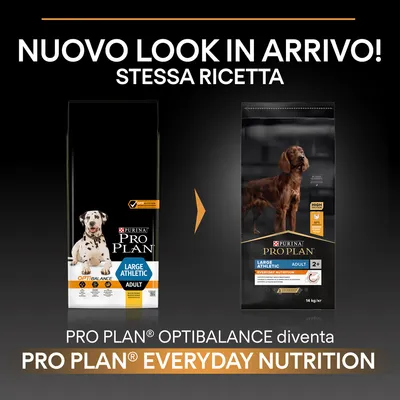 Nuovo look in arrivo, stessa ricetta. PRO PLAN OPTIBALANCE diventa PRO PLAN EVERYDAY NUTRITION. Confezioni di crocchette per cani adulti Large Athletic visibili.