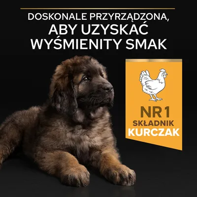 Tekst: Doskonale przyrządzona, aby uzyskać wyśmienity smak. NR 1 składnik kurczak. Obraz psa leżącego obok żółtego pola z grafiką kurczaka.