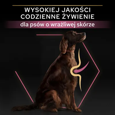 Wysokiej jakości codzienne żywienie dla psów o wrażliwej skórze – tekst na tle siedzącego psa z graficznym symbolem na tułowiu.