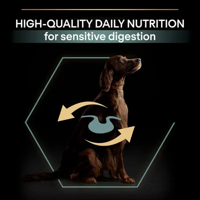 HIGH-QUALITY DAILY NUTRITION for sensitive digestion. Κείμενο στα αγγλικά με σκύλο και γραφικό πεπτικού συστήματος με βέλη.