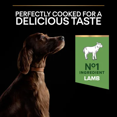 Tekst: Perfectly cooked for a delicious taste. Grøn mærkat med tegning af får og teksten: No1 ingredient lamb. Billede af brun hund med halsbånd.