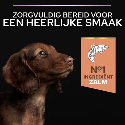 Zorgvuldig bereid voor een heerlijke smaak. Nº1 ingrediënt zalm.