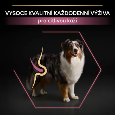 Text: VYSOCE KVALITNÍ KAŽDODENNÍ VÝŽIVA pro citlivou kůži. Pes v růžovém hexagonu, grafický prvek znázorňující zažívání na těle psa.