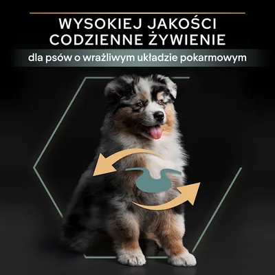 Wysokiej jakości codzienne żywienie dla psów o wrażliwym układzie pokarmowym – tekst na tle psa z graficznym symbolem żołądka i strzałkami.