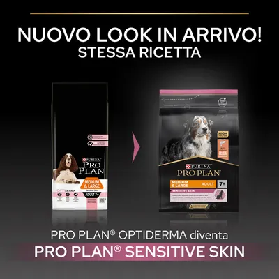 Nuovo look in arrivo! Stessa ricetta. PRO PLAN OPTIDERMA diventa PRO PLAN SENSITIVE SKIN. Immagine di due confezioni di crocchette per cani adulti 7+ Medium & Large Sensitive Skin.