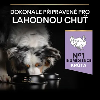 Text v češtine: Dokonale připravené pro lahodnou chuť. Purina Pro Plan miska, pes žerie. Fialový štítok: No1 ingredience krůta.