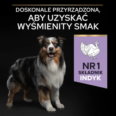 Tekst: Doskonale przyrządzona, aby uzyskać wyśmienity smak. NR1 składnik indyk. Grafika psa i symbol indyka na fioletowym tle.