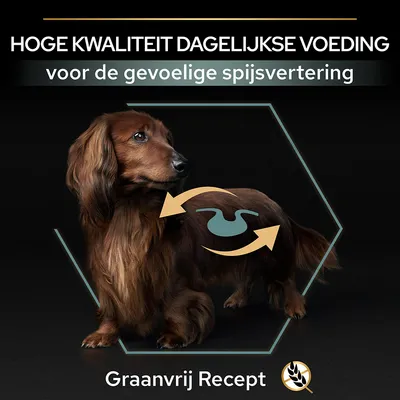HOGE KWALITEIT DAGELIJKSE VOEDING voor de gevoelige spijsvertering. Graanvrij Recept. Afbeelding van een hond met spijsverteringssymbool.