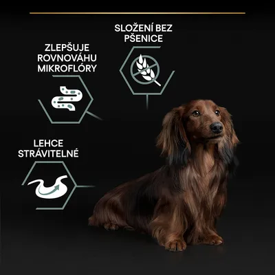 Text v češtine: Zlepšuje rovnováhu mikroflóry, Složenie bez pšenice, Lehce strávitelné. Vedľa textu je pes s dlhšou srsťou na tmavom pozadí.