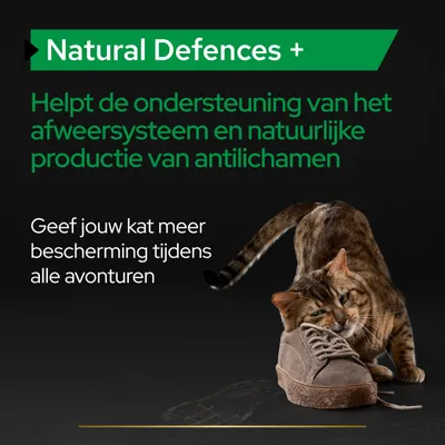 Natural Defences+. Helpt de ondersteuning van het afweersysteem en natuurlijke productie van antilichamen. Geef jouw kat meer bescherming tijdens alle avonturen.