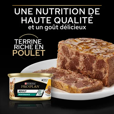 Purina Pro Plan Adult Maintenance terrine riche en poulet, nutrition de haute qualité et goût délicieux, boîte pour chat visible à côté d’une tranche de terrine sur assiette.