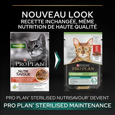 Changement d’emballage : Purina Pro Plan Sterilised Nutrisavour devient Pro Plan Sterilised Maintenance. Recette inchangée, même nutrition de haute qualité. Deux sachets pour chat visibles.